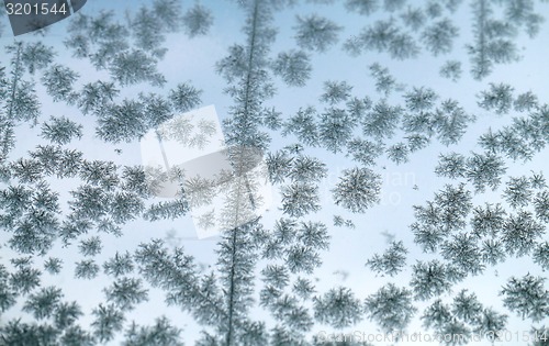 Image of Snowflakes frozen glass 