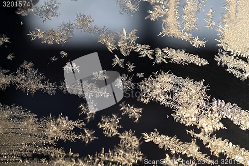 Image of Snowflakes frozen glass 