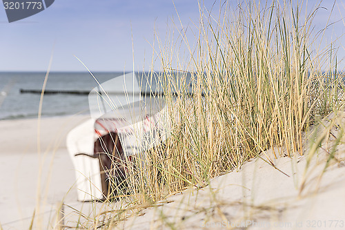 Image of Dune grass on Baltic Sea beach