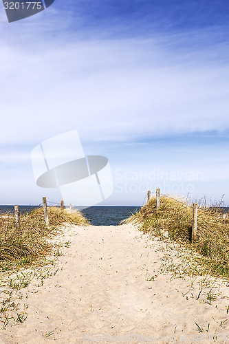 Image of sandy path through dunes