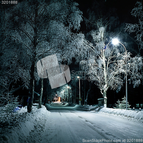 Image of Christmas tree in snowy surroundings.