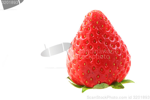 Image of fresh strawberry isolated