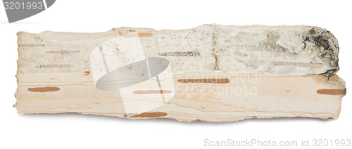 Image of birch bark