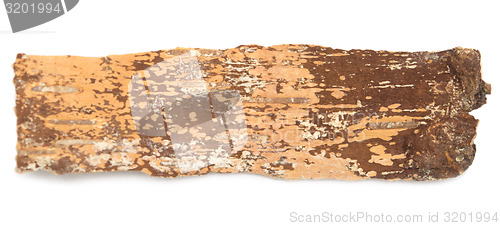 Image of birch bark