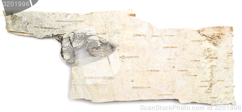 Image of birch bark