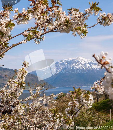 Image of Landscape with mountains. Norwegian fjords