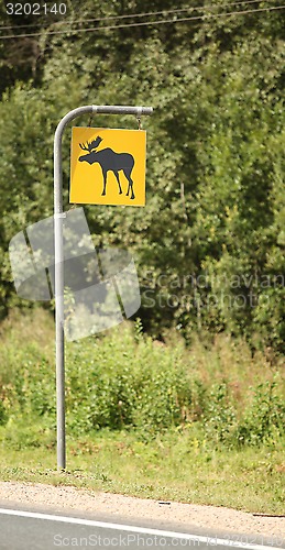 Image of  Road sign attention elk