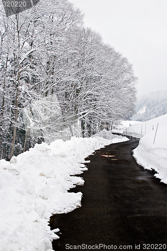 Image of Winter Road