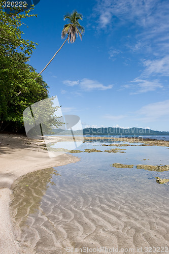 Image of Caribbean Beach