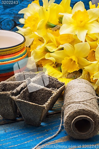 Image of garden tools and cut daffodils