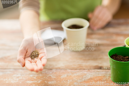 Image of close up of woman hand holding seeds