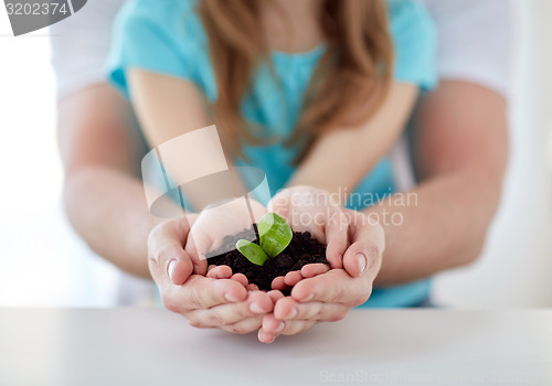 Image of close up of father and girl hands holding sprout