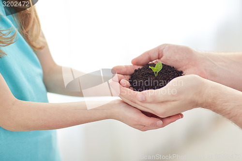 Image of close up of father and girl hands holding sprout