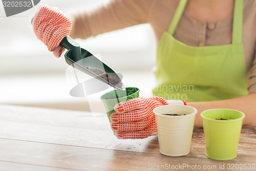 Image of close up of woman hands with trowel sowing seeds