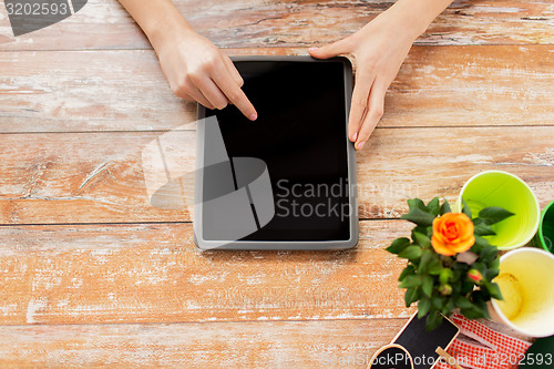 Image of close up of woman or gardener with tablet pc