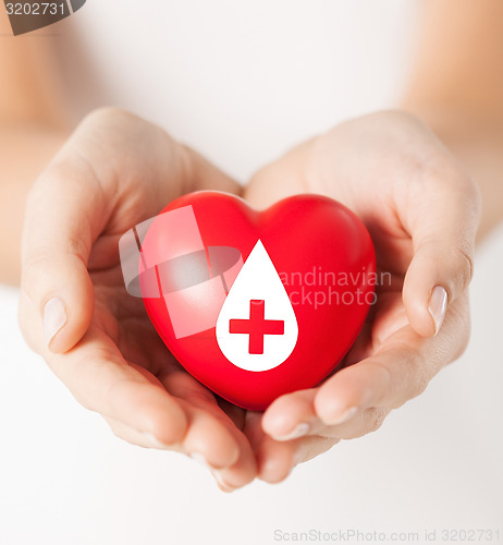 Image of female hands holding red heart with donor sign