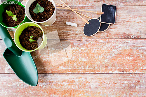 Image of close up of seedlings, trowel and nameplates