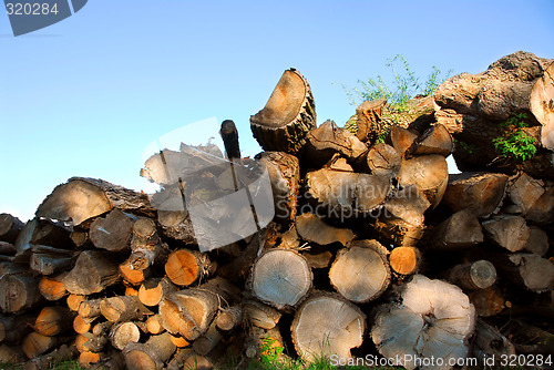 Image of Wood logs