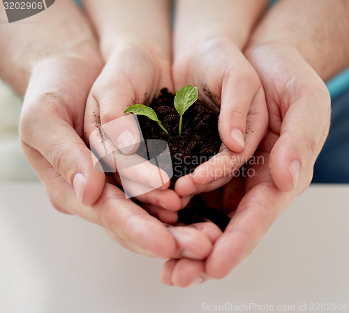 Image of close up of father and girl hands holding sprout