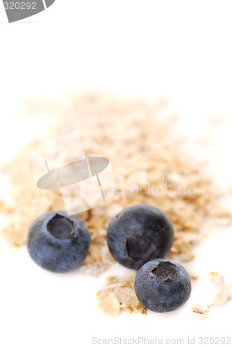 Image of Blueberry oats