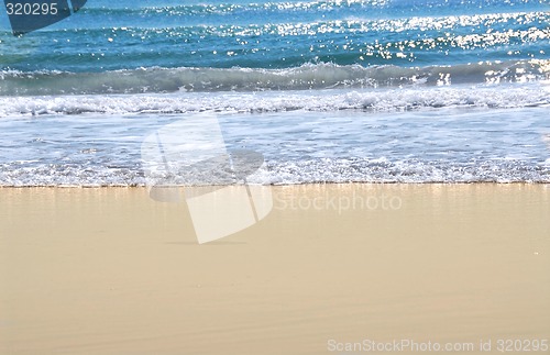 Image of Ocean shore
