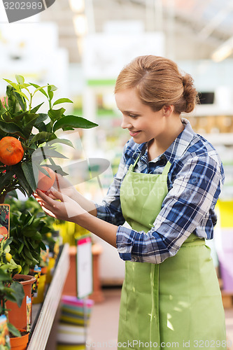 Image of happy woman touching mandarin tree in greenhouse