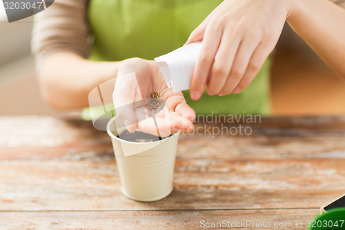 Image of close up of woman sowing seeds to soil in pot