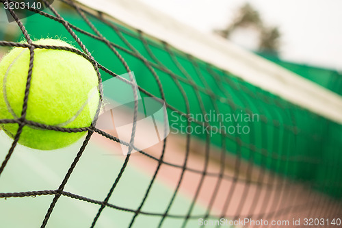 Image of Tennis ball in net