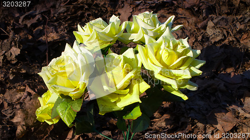 Image of concept of artificial plastic flowers spring