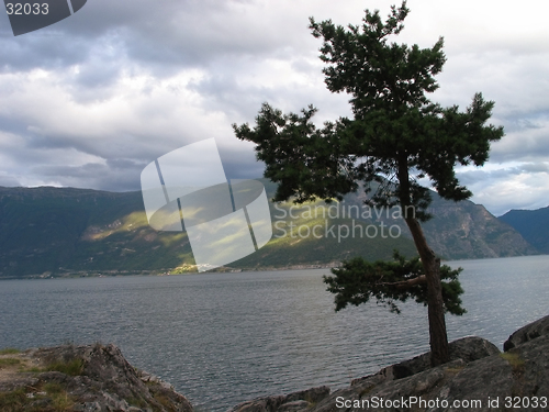 Image of Sognefjorden,Norway