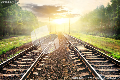 Image of Fog over railroad