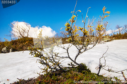 Image of spring time to life nature  warmly  sun