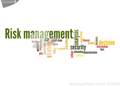 Image of Risk-management-word-cloud