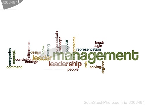 Image of Management word cloud