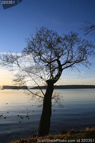 Image of Fall by the Oslofjord