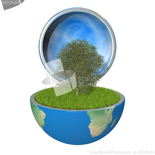 Image of Tree inside planet
