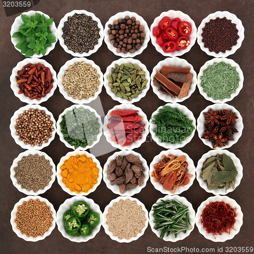 Image of Spice and Herb Collection