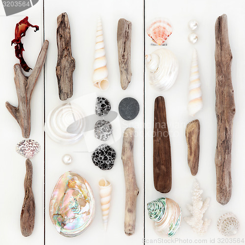 Image of Beach Treasures