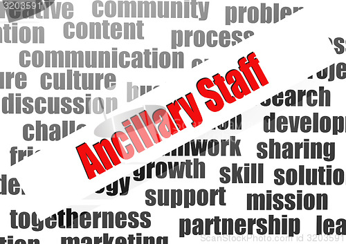 Image of Ancillary staff word cloud