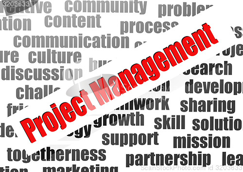 Image of Project management word cloud