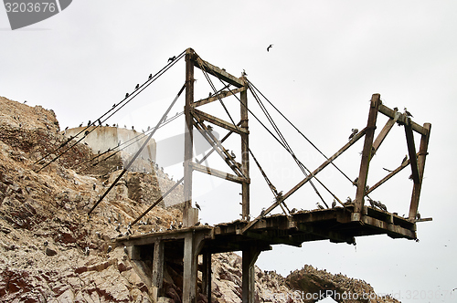 Image of Birds on platform Ballestas Islands, Paracas, Peru