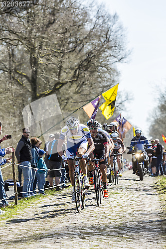 Image of The Breakaway in The Forest of Arenberg- Paris Roubaix 2015