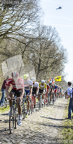 Image of The Peloton in The Forest of Arenberg- Paris Roubaix 2015