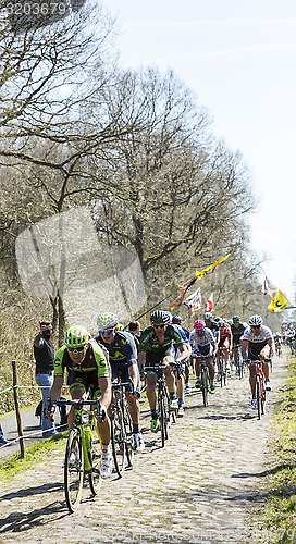 Image of The Peloton in The Forest of Arenberg- Paris Roubaix 2015