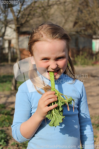 Image of little girl chewing young sprout of a rhubard