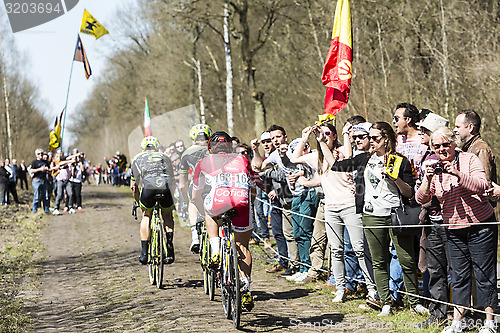 Image of Group of Three Cyclists in the Forest of Arenberg- Paris Roubaix