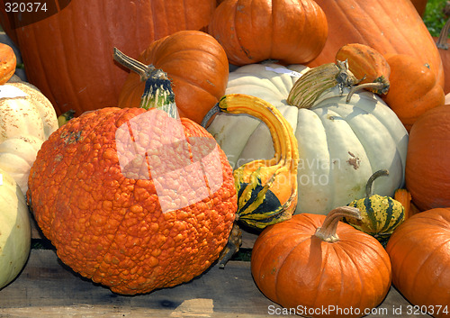 Image of Harvest