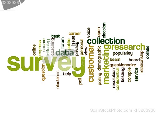 Image of Survey word cloud