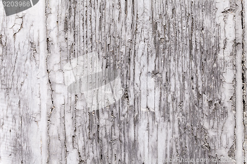 Image of Gray Coat Of Paint On Weathered Wooden Shutter