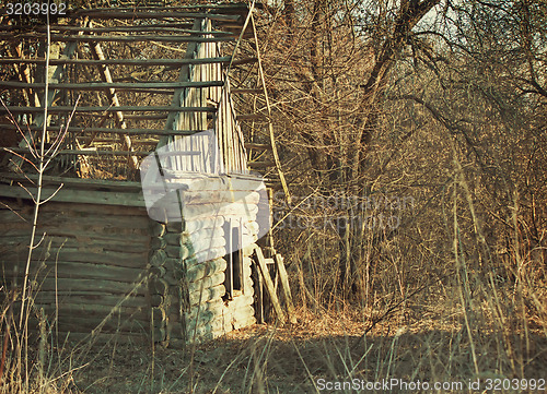 Image of Abandoned and ruined house in an overgrown forest .